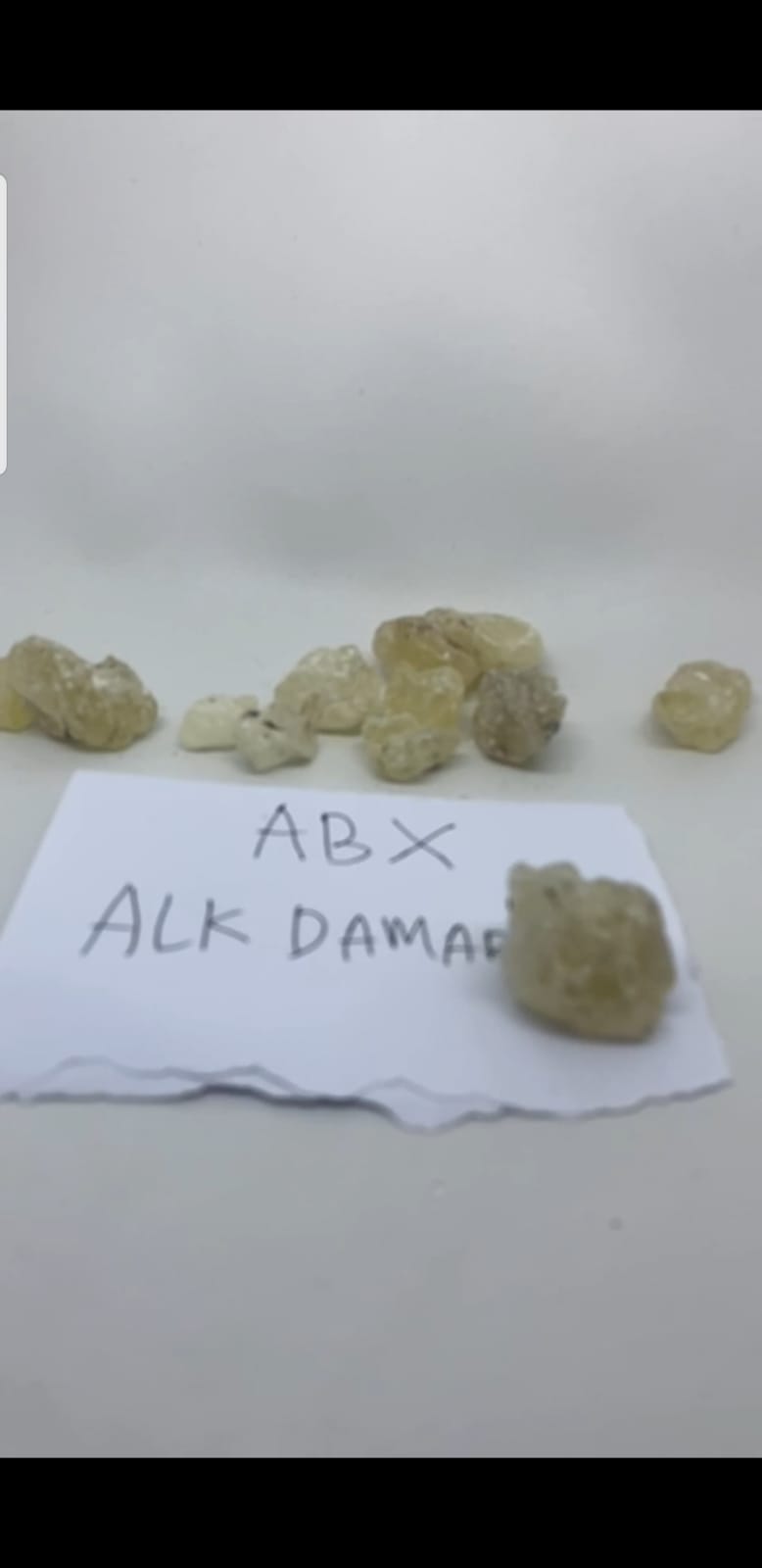 Gum Damar Cat Eye (Shorea Javanica)